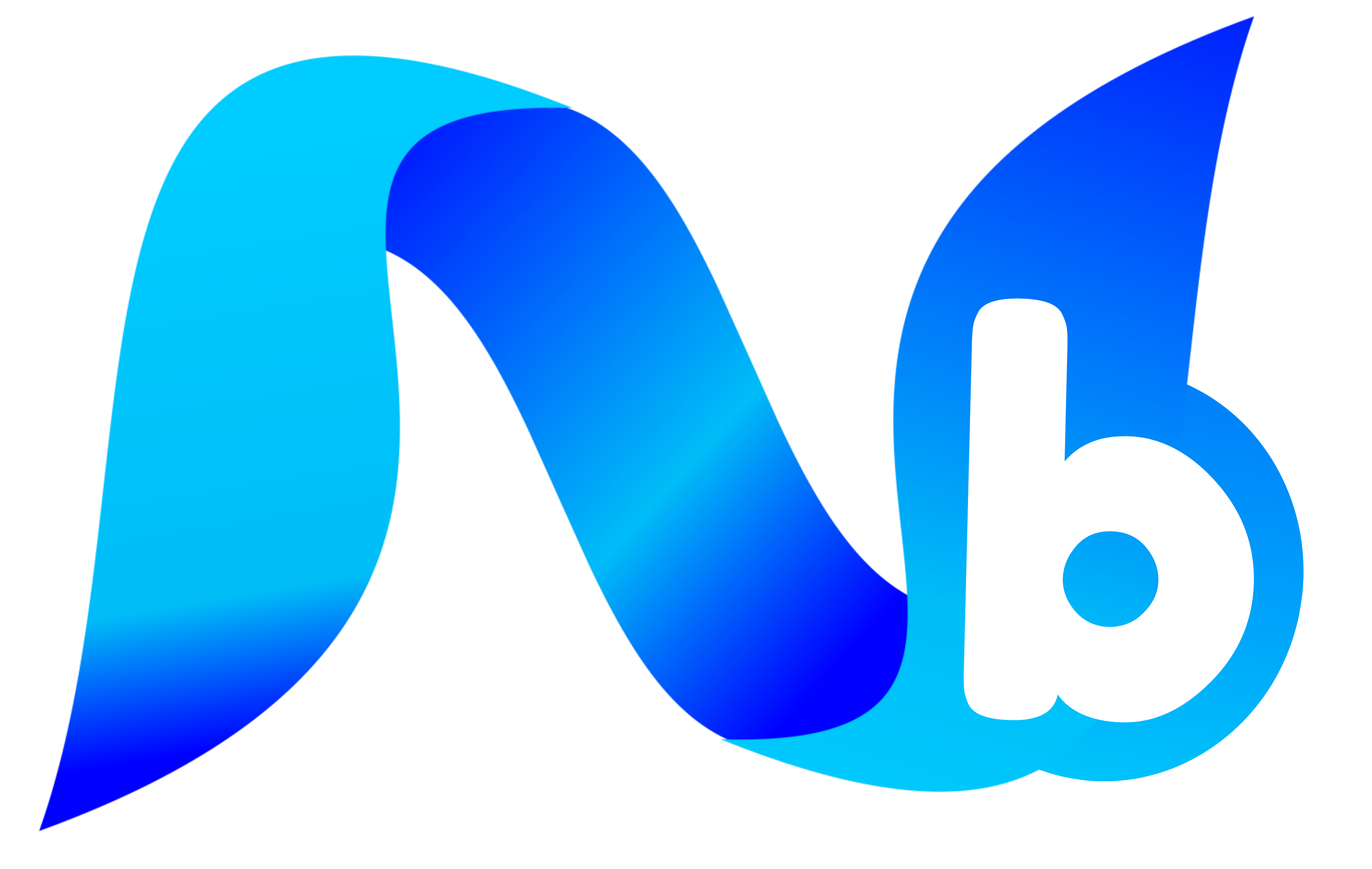 Netbit.pk logo | Netbit | Netbit is a team of scientists and technology experts who work on creating smart solutions for businesses