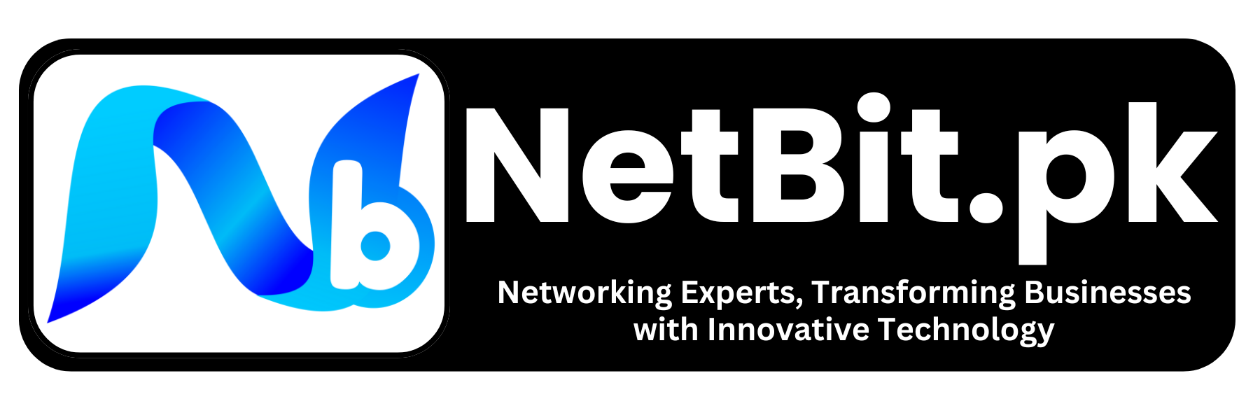Netbit.pk logo | Netbit | Netbit is a team of scientists and technology experts who work on creating smart solutions for businesses